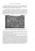 giornale/PUV0110165/1942/unico/00000115