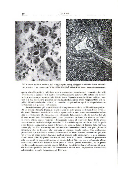 Archivio italiano di anatomia e istologia patologica