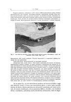 giornale/PUV0110165/1943/unico/00000018
