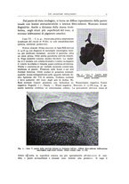 giornale/PUV0110165/1943/unico/00000021