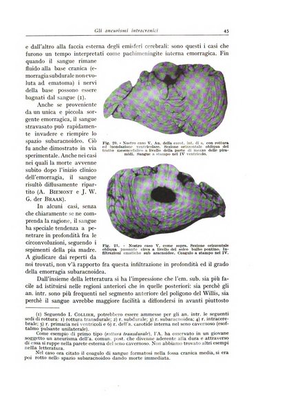 Archivio italiano di anatomia e istologia patologica