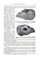 giornale/PUV0110165/1943/unico/00000057