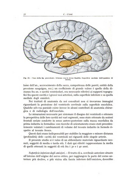 Archivio italiano di anatomia e istologia patologica