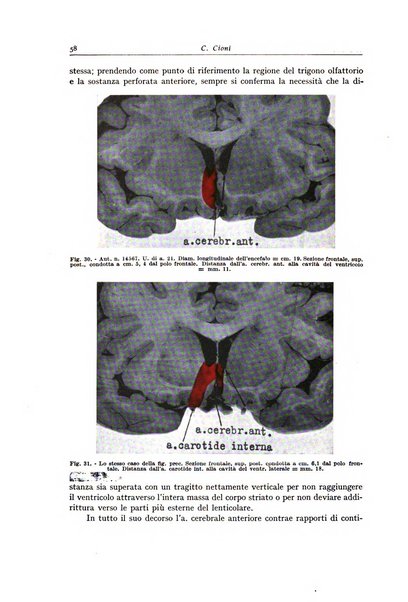 Archivio italiano di anatomia e istologia patologica