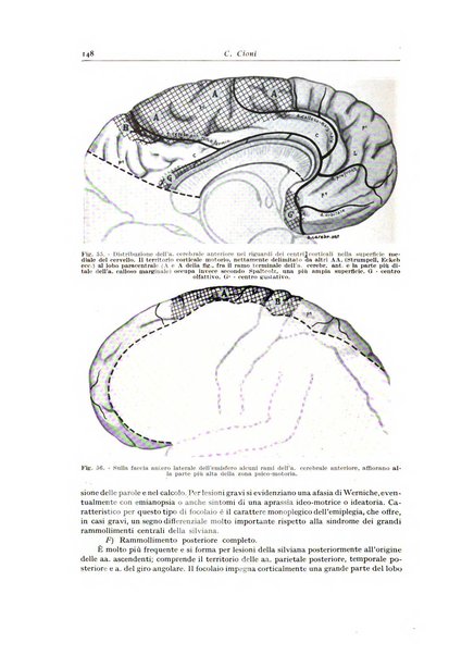 Archivio italiano di anatomia e istologia patologica