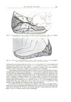 giornale/PUV0110165/1943/unico/00000161