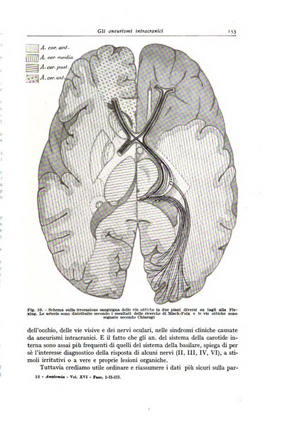 Archivio italiano di anatomia e istologia patologica