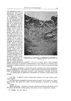 giornale/PUV0110165/1943/unico/00000261