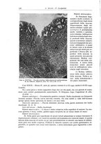 giornale/PUV0110165/1943/unico/00000268