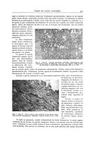 giornale/PUV0110165/1943/unico/00000339