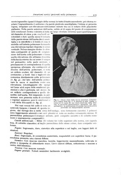 Archivio italiano di anatomia e istologia patologica