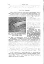 giornale/PUV0110165/1943/unico/00000550