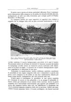 giornale/PUV0110165/1943/unico/00000603