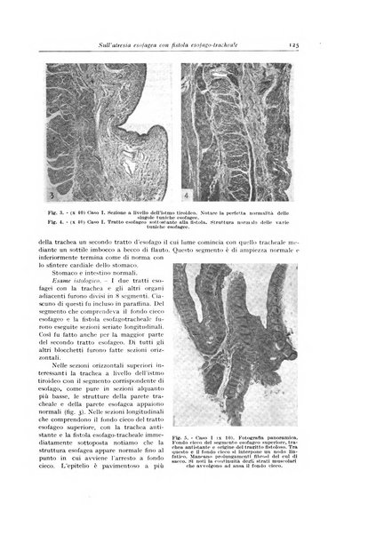 Archivio italiano di anatomia e istologia patologica