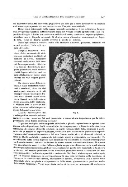 Archivio italiano di anatomia e istologia patologica