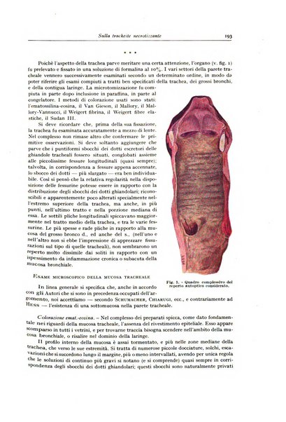 Archivio italiano di anatomia e istologia patologica