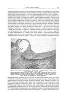 giornale/PUV0110165/1943/unico/00000721