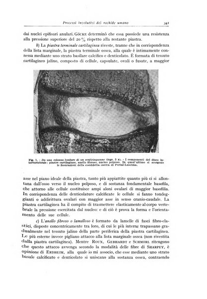 Archivio italiano di anatomia e istologia patologica