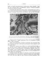 giornale/PUV0110165/1943/unico/00000882
