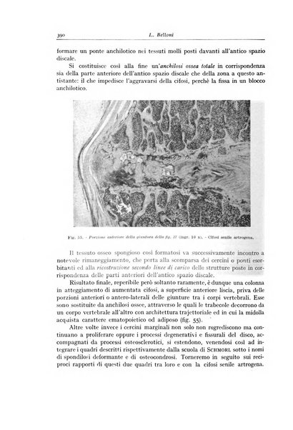 Archivio italiano di anatomia e istologia patologica