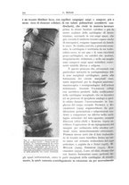 giornale/PUV0110165/1943/unico/00000902