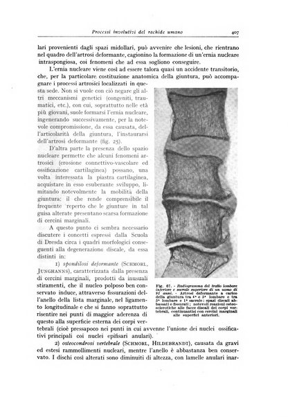 Archivio italiano di anatomia e istologia patologica