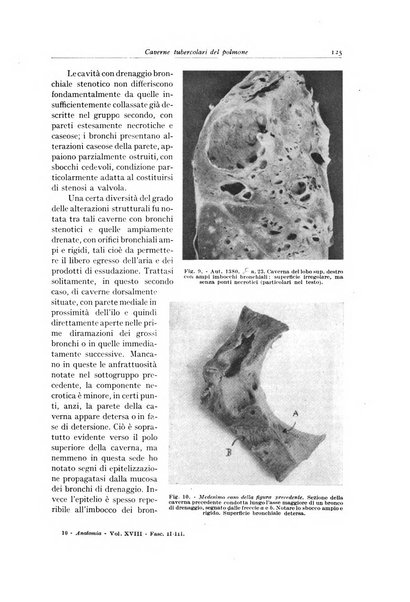 Archivio italiano di anatomia e istologia patologica