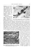 giornale/PUV0110165/1944/unico/00000175