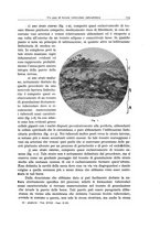 giornale/PUV0110165/1944/unico/00000183