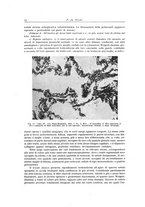 giornale/PUV0110165/1946/unico/00000026