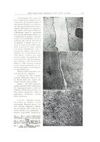 giornale/PUV0110165/1946/unico/00000139