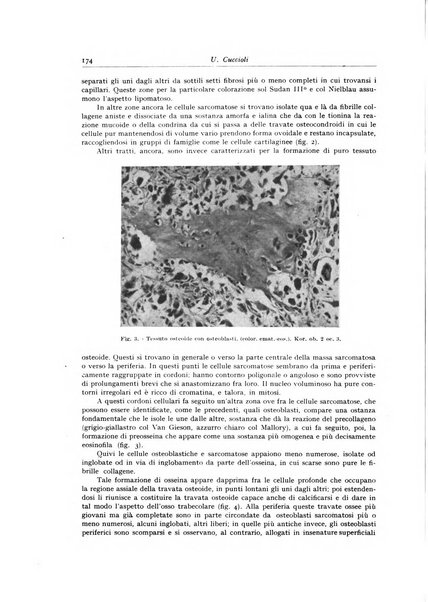 Archivio italiano di anatomia e istologia patologica