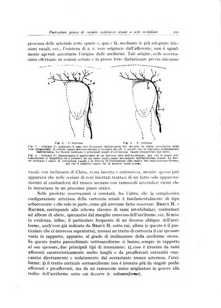 Archivio italiano di anatomia e istologia patologica