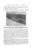 giornale/PUV0110165/1946/unico/00000319