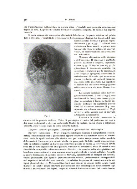 Archivio italiano di anatomia e istologia patologica