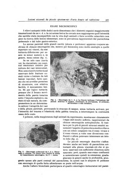 Archivio italiano di anatomia e istologia patologica