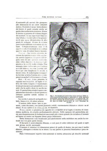 Archivio italiano di anatomia e istologia patologica