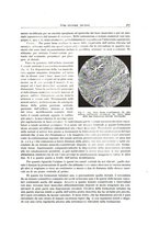 giornale/PUV0110165/1946/unico/00000409