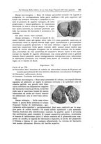 giornale/PUV0110166/1919-1920/unico/00000115