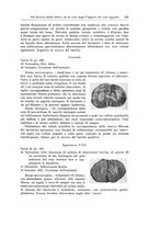 giornale/PUV0110166/1919-1920/unico/00000117