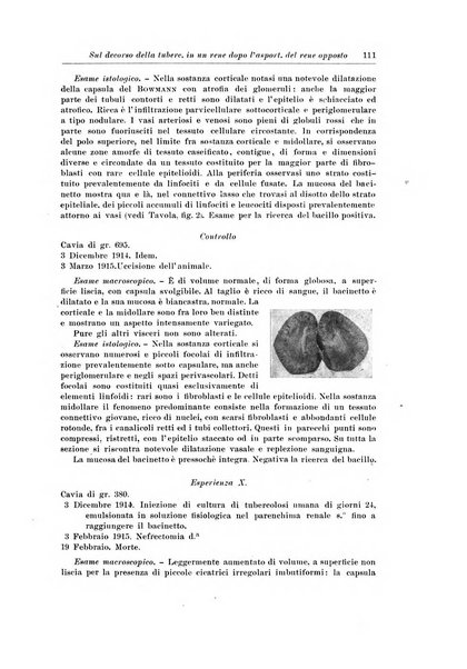 Archivio italiano di chirurgia