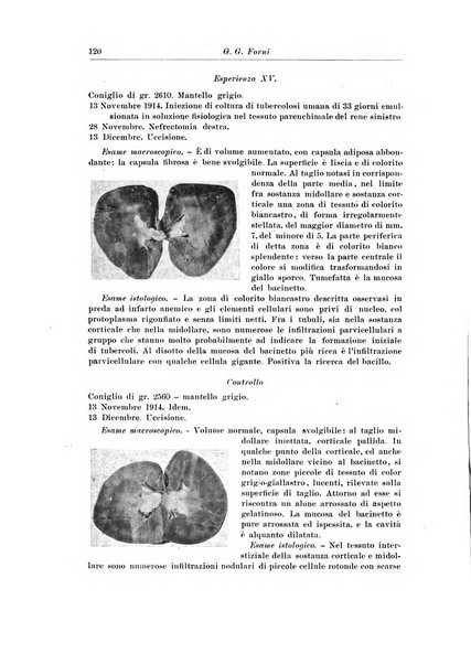 Archivio italiano di chirurgia