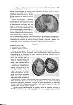 giornale/PUV0110166/1919-1920/unico/00000141