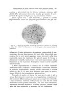 giornale/PUV0110166/1919-1920/unico/00000361