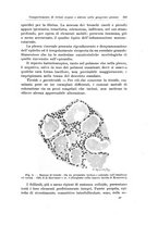 giornale/PUV0110166/1919-1920/unico/00000363