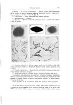 giornale/PUV0110166/1919-1920/unico/00000483