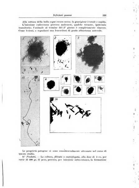 Archivio italiano di chirurgia