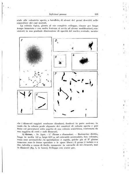 Archivio italiano di chirurgia