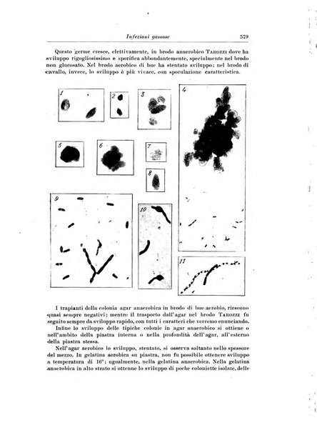 Archivio italiano di chirurgia