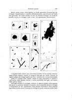 giornale/PUV0110166/1919-1920/unico/00000609